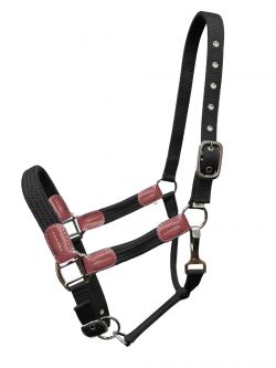 Showman Nylon halter with leather accents #2
